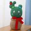 Peluche Cactus Start Up